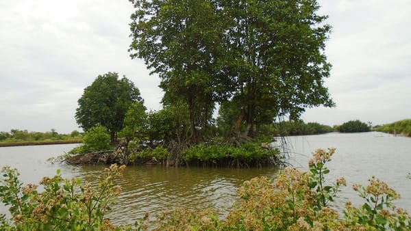 Vĩnh Thịnh